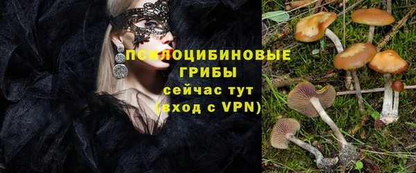 тгк Арсеньев