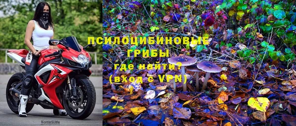 дживик Армянск