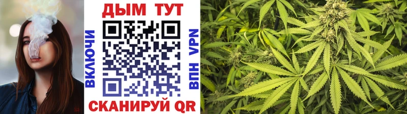 Канабис Bruce Banner  Оса 